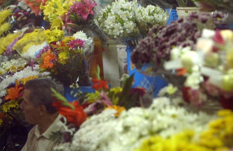 Flowers Asia.jpg